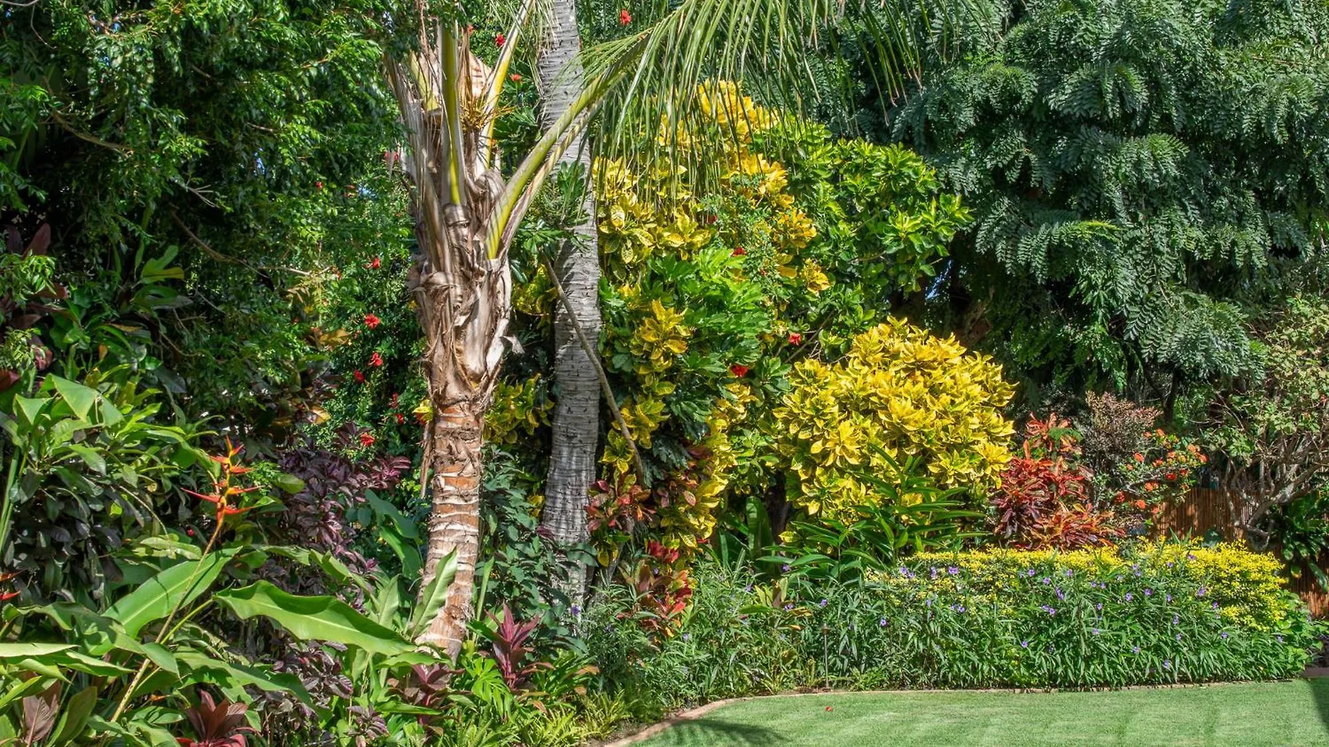 Napili Surf Beach Resort By Castle Kapalua