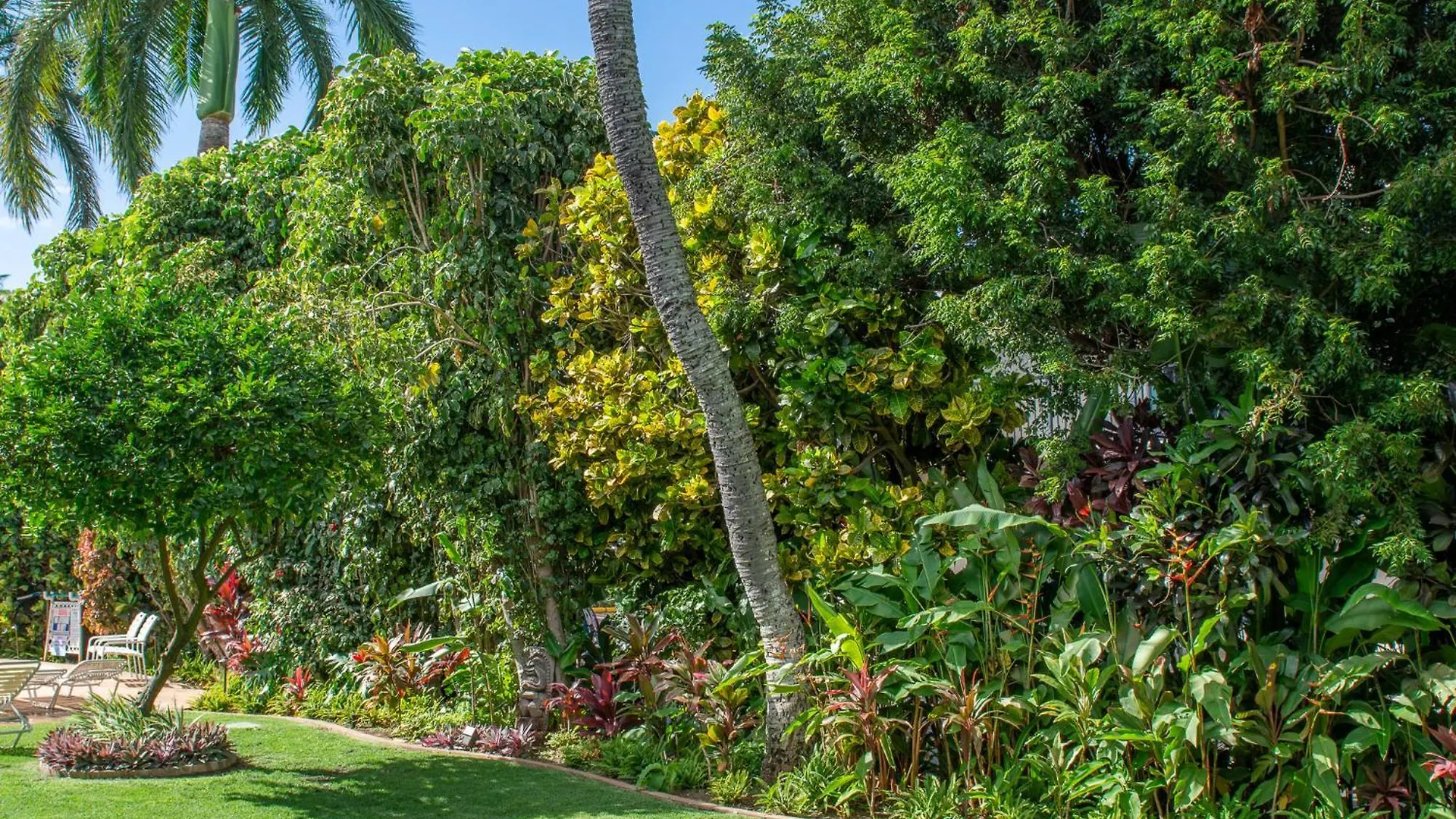 Napili Surf Beach Resort By Castle Kapalua